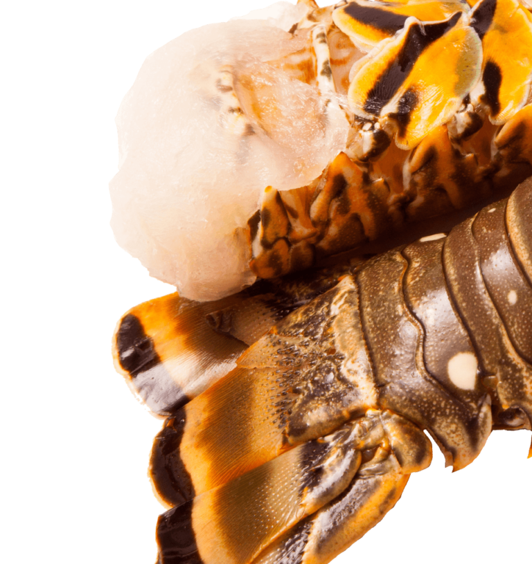 Spiney lobster tails