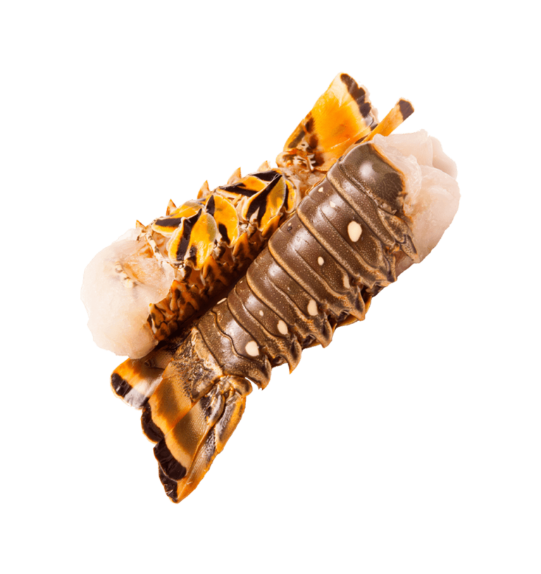 Spiney lobster tails