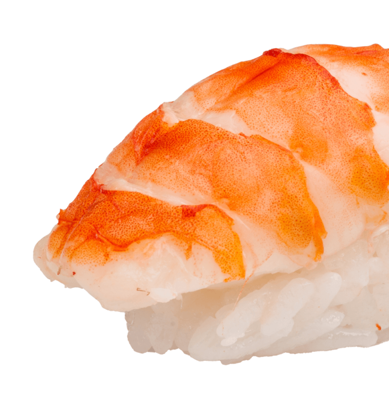 Ebi shrimp