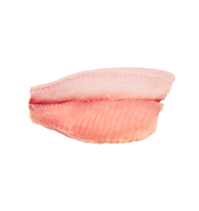 Golden corvina fillets