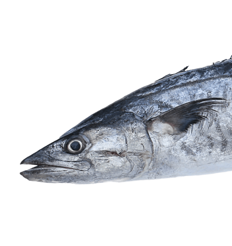 Wahoo