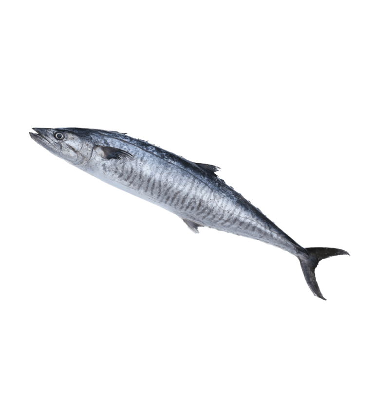 Wahoo