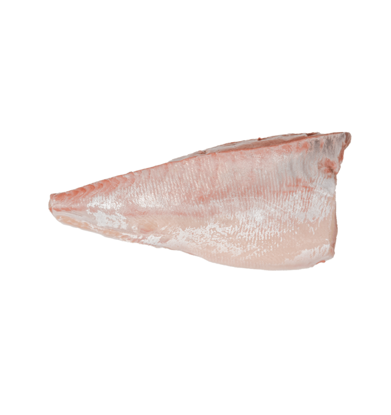 Albacore loins