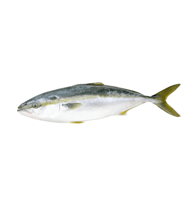 Hamachi