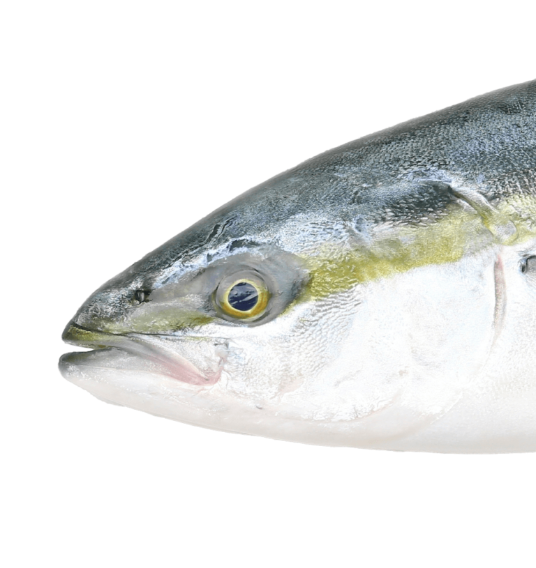Hamachi