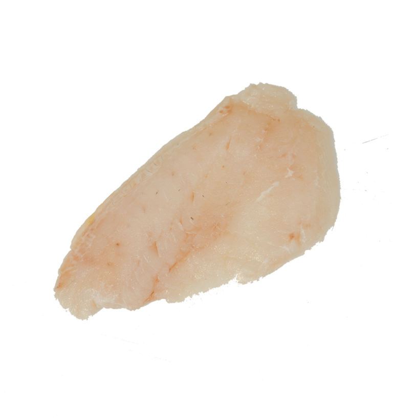 Hogfish