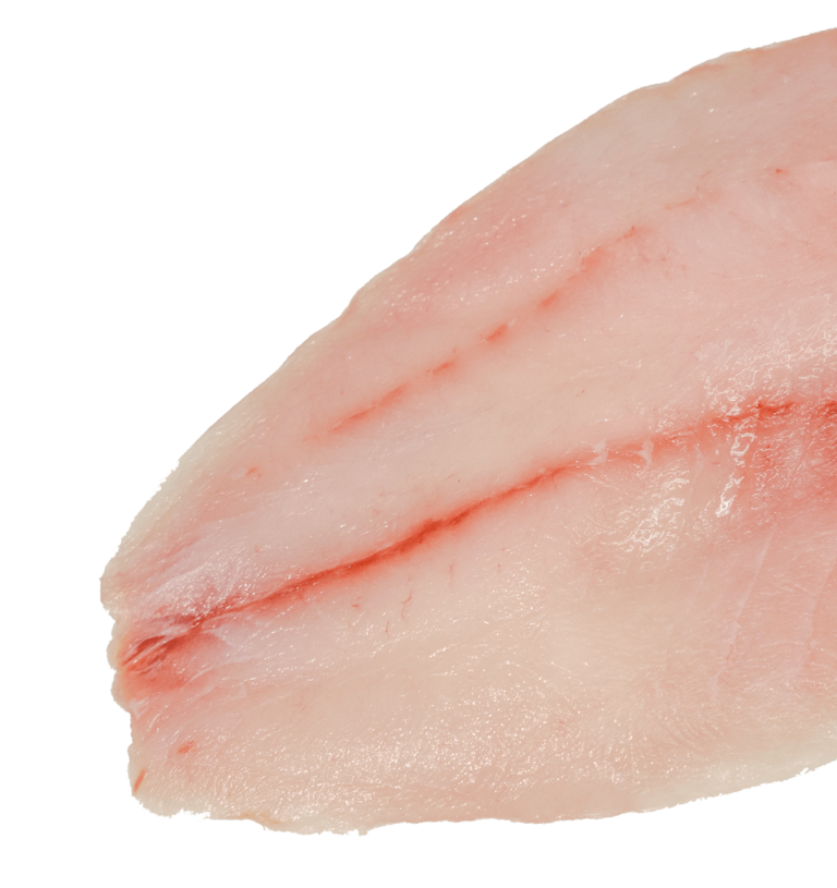 Tripletail