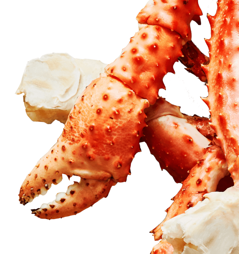 Crab