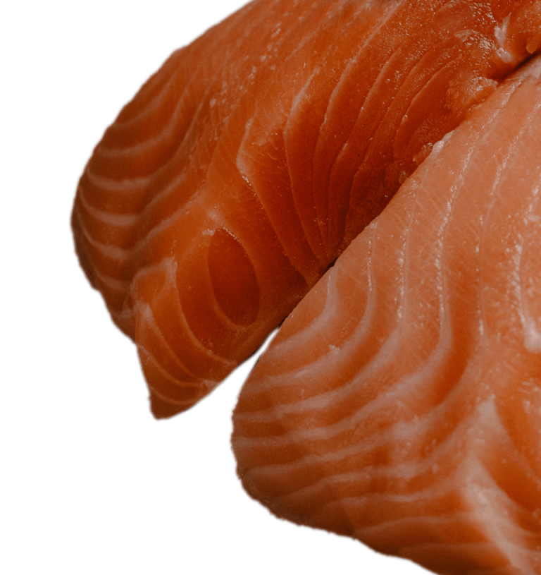 Salmon Portions